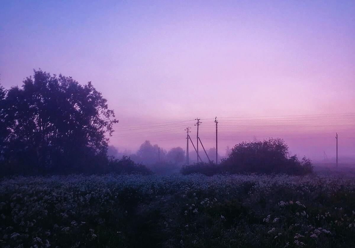 开云体育下载-莫兰特脚踝扭伤轮椅离场 MRI检查或定灰熊命运